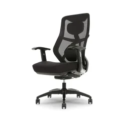 Ergonomic Chairs*Beautyrest Duo-EX Ergonomic Mesh Swivel Task Chair, /Gray (60051GRY) Black