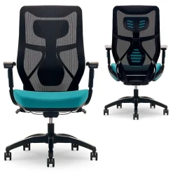 Office Chairs*Beautyrest Duo-EX Ergonomic Mesh Swivel Computer Chair, (60051-TEL) Teal