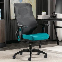 Office Chairs*Beautyrest Duo-EX Ergonomic Mesh Swivel Computer Chair, (60051-TEL) Teal