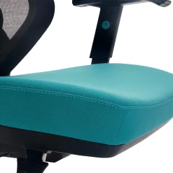 Office Chairs*Beautyrest Duo-EX Ergonomic Mesh Swivel Computer Chair, (60051-TEL) Teal