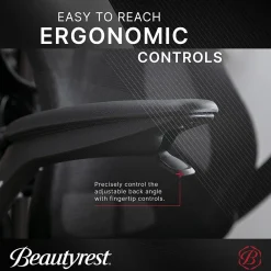 Ergonomic Chairs*Beautyrest ErgoMax Ergonomic Mesh Swivel Task Chair, (60078-BLK) Black