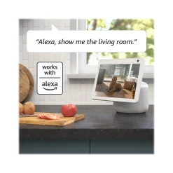 Blink Mini Pan-Tilt Wireless Camera, White (B09N6YCT3Y)