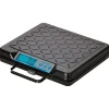 Clearance Brecknell Digital Postal Scale, 250 lb. Capacity (GP250)