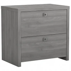 File Cabinets*Bush Business Furniture Echo 2 Drawer Lateral File Cabinet, Modern Gray (KI60402-03)