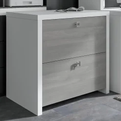 File Cabinets*Bush Business Furniture Echo 2 Drawer Lateral File Cabinet, Pure White/Modern Gray (KI60502-03)
