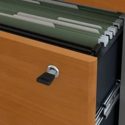 File Cabinets*Bush Business Furniture Westfield Lateral File Cabinet, Natural Cherry (WC72454CSU) Natural Cherry/Graphite Gray