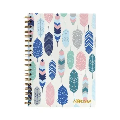 Subject Notebooks|Carpe Diem Feathers 1-Subject Notebook, 7.5" x 9.75", Wide-Ruled, 80 Sheets, Multicolor (9379-CD)