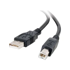 C2G Cables to Go C2G 6.56 ft. USB A Male/B Male, Black (28102)