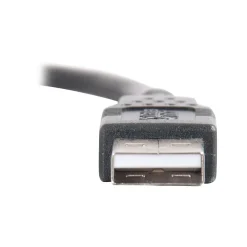 C2G Cables to Go C2G 6.56' USB A Male/A Male, Black (28106)