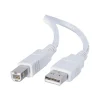 C2G Cables to Go 6.6' USB A to USB B Cable, Male to Male, White (13172)