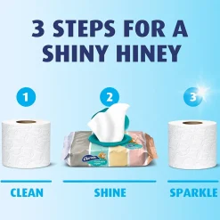 Flushable Wipes, White, 40 Sheets/Pack, Pack of 4 (79619)<Charmin Best