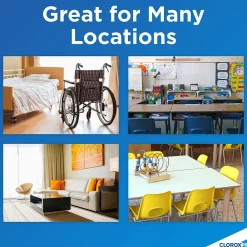 Bio Stain & Odor Remover Pull Top, 32 oz. (31911)<Clorox Online