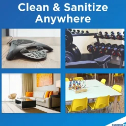 Pro 4 in One Disinfectant & Sanitizer, Citrus Scent, 14 oz., 12/Carton (31043)<Clorox