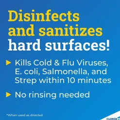 Anywhere Daily Disinfectant and Sanitizer, 32 fl. oz. (01698)<CloroxPro