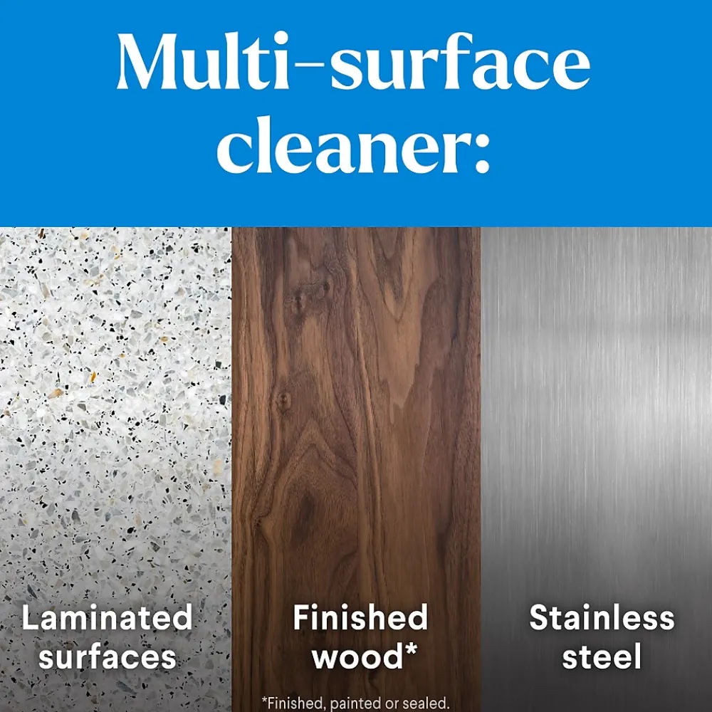 Pro EcoClean Disinfecting Cleaner, 32 Oz. (60213)<Clorox Online