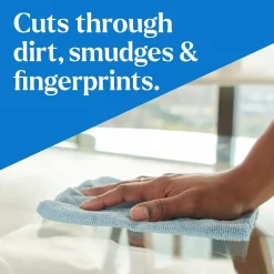 Pro EcoClean Glass Cleaner, 32 Oz. (60277)<Clorox Online