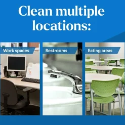 Pro EcoClean Glass Cleaner, 32 Oz. (60277)<Clorox Online