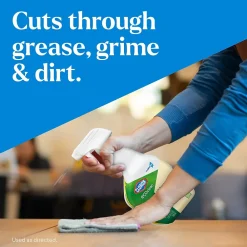 Pro EcoClean All-Purpose Cleaner Spray Bottle, 32 fl. oz., 9/Carton (60276)<Clorox Sale