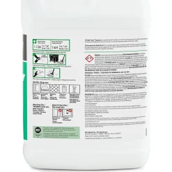 Degreaser Triple Power, 3.78L, 4/Carton (CW391001-A)<Coastwide Professional Outlet