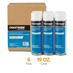 ™ Foaming Glass Cleaner, Fresh & Clean Scent, 19 Oz., 6/Carton (CW58496-A)<Coastwide Professional New