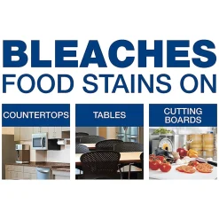 Disinfecting Cleaner with Bleach, 32 Oz. (75350)<Comet Best