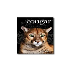 Card Stock*Cougar 65 lb. Cover Paper, 8.5" x 11", White, 250 Sheets/Pack (2985)