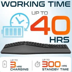 Clearance Delton KB250 Ergonomic Wireless Curved Keyboard with Cushioned Wrist Rest, Black (DKBE250-WR)