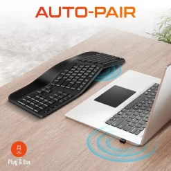 New Delton KB200 Wireless Ergonomic Keyboard, Black (DKBERG24G8-WB)