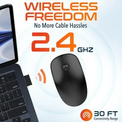 Clearance Delton S15 Wireless Ambidextrous Optical 2.4 GHz Mouse, Black (DMS15-WB)