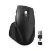 Discount Delton S18 Wireless Optical Mouse, Black (DMS18-WB)
