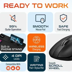 Best Delton S8/D101 Wireless Optical 2.4 GHz Mouse and Non-Skid Mouse Pad, Black (DMMPADKIT101)