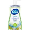 Antibacterial Foaming Hand Soap, Fresh Pear Scent, 8/Carton (017000347219)<Dial Hot