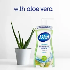 Antibacterial Foaming Hand Soap, Fresh Pear Scent, 8/Carton (017000347219)<Dial Hot