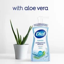 Antibacterial Foaming Hand Soap, Spring Water Scent, 8/Carton (017000347394)<Dial