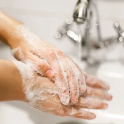 Basics Foaming Hand Soap, Floral, 15.2 Oz., 4/Carton (98609)<Dial Clearance