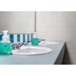 Basics Foaming Hand Soap, Floral, 15.2 Oz., 4/Carton (98609)<Dial Clearance