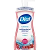 Complete Antibacterial Foaming Hand Soap, Power Berries, 7.5 Oz. (DIA 03016)<Dial New