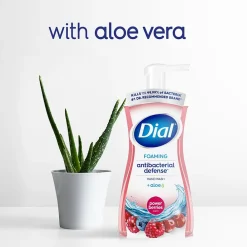 Complete Antibacterial Foaming Hand Soap, Power Berries, 7.5 Oz. (DIA 03016)<Dial New