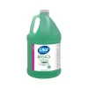Basics Foaming Hand Soap Refill, 1 Gal. (17000354385)<Dial Professional Online