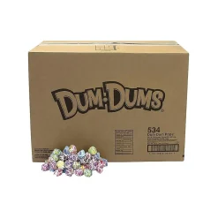 Dum Dums Lollipops, Assorted Flavors, 480 oz., (211-00014)