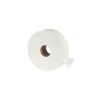 Recycled Jumbo Bathroom Tissue, 2 Ply, 2,000', 3.3" Core, 6 Rolls/Carton<Eco Green Hot