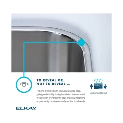 Elkay Lustertone Classic Single-Bowl Undermount Sink w/Perfect Drain, 18.5