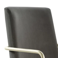 Office Chairs*Elle Decor Giselle Fabric Computer and Desk Chair, Light Gray/Gold (CHR10058B)