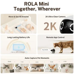 Enabot ROLA Mini Companion Robot, Black (ROLA Mini)