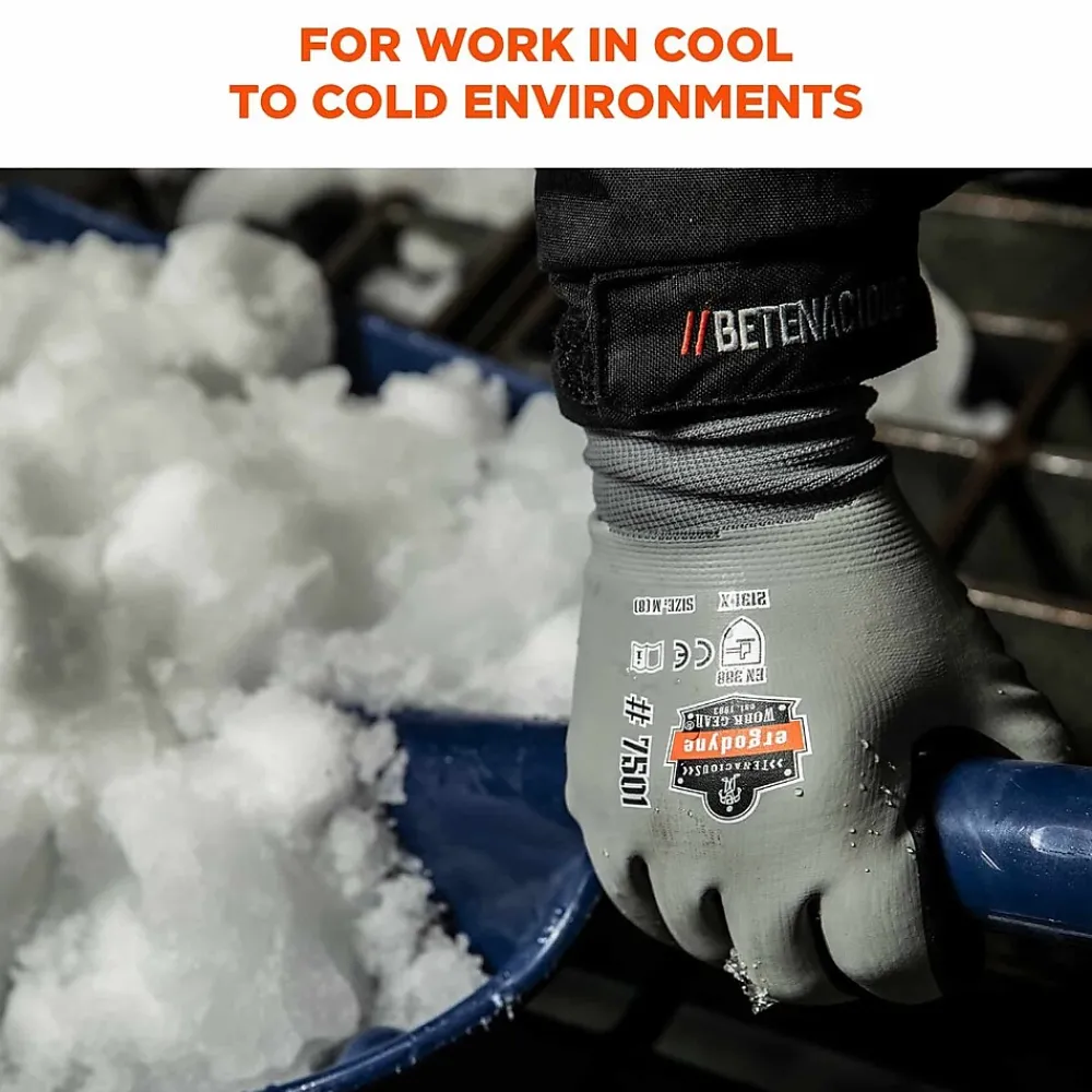 Ergodyne ProFlex 7501 Waterproof Winter Work Gloves, Gray, XXL, 144 Pairs (17936)