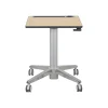 Standing Desks*Ergotron 29"-45" Adjustable Desk, Maple/Silver (24-811-F13)