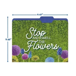 File Folders|Eureka Curiosity Garden File Folders, 1-Tab, Assorted, Letter Size, 6/Bundle (EU-866450-6)