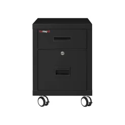 File Cabinets*FireKing 2-Drawer Mobile Vertical File Cabinet, Letter/Legal Size, Lockable, Fire Resistant, Black (2M1822-1BL)