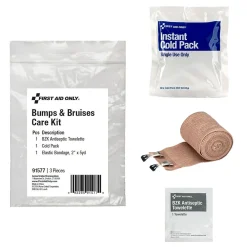 First Aid Only Bumps and Bruises Care Kit,3 Pieces, 25 Packs/Carton (91577)