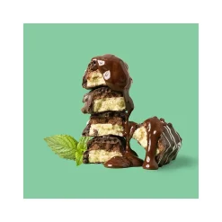 FITCRUNCH Gluten-Free Mint Chocolate Chip High-Protein Baked Bar, 1.62 oz., 9 Bars/Box (FC207E)